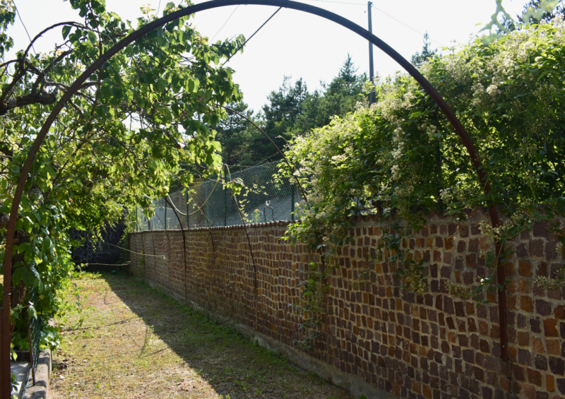 Immagine 118 di Casa trifamiliare in vendita  in Strada Le Mole a Neviano Degli Arduini