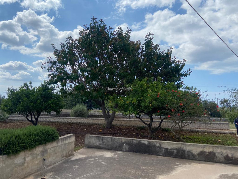 Immagine 11 di Casa indipendente in vendita  in San Giovanni Lo Pirato, scicli a Modica