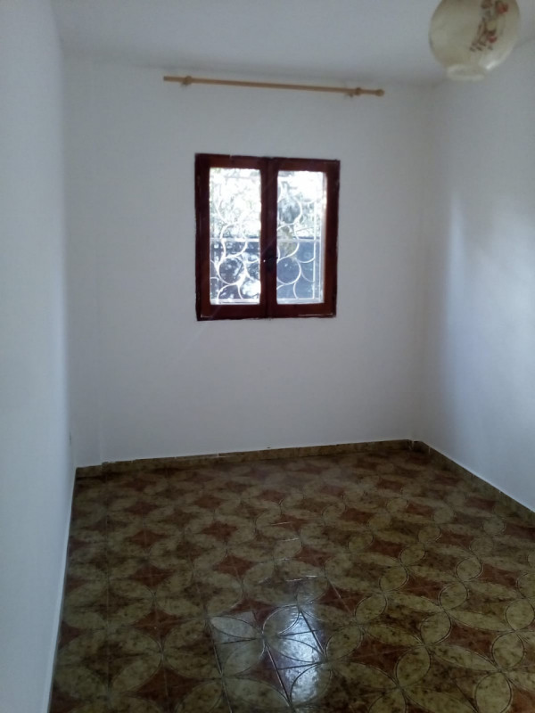 Foto annuncio 42