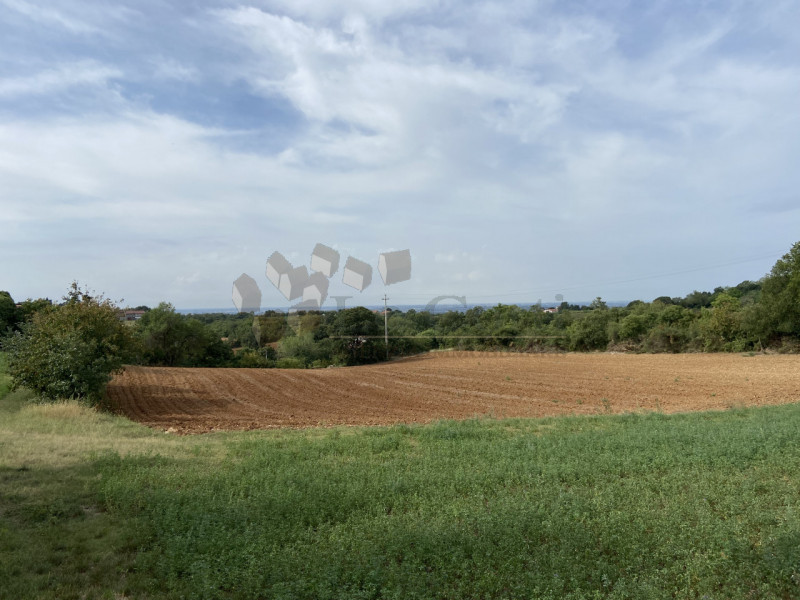 Immagine 2 di Rustico / casale in vendita  a Lonigo