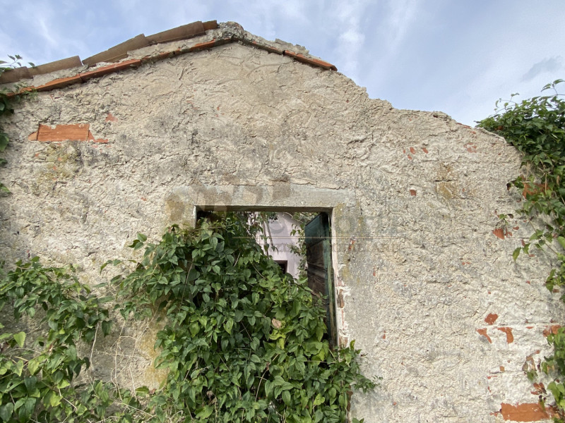 Immagine 5 di Rustico / casale in vendita  a Lonigo