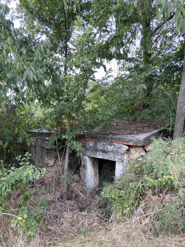 Immagine 9 di Rustico / casale in vendita  a Lonigo