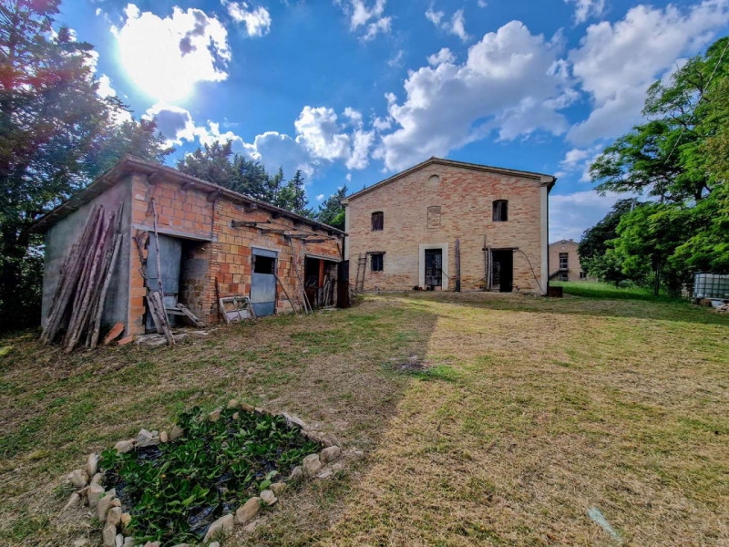 Immagine 2 di Rustico / casale in vendita  in località Monte Olivo a Urbino