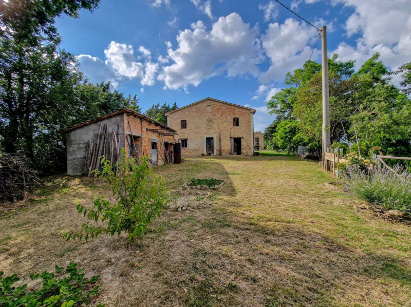 Immagine 3 di Rustico / casale in vendita  in località Monte Olivo a Urbino