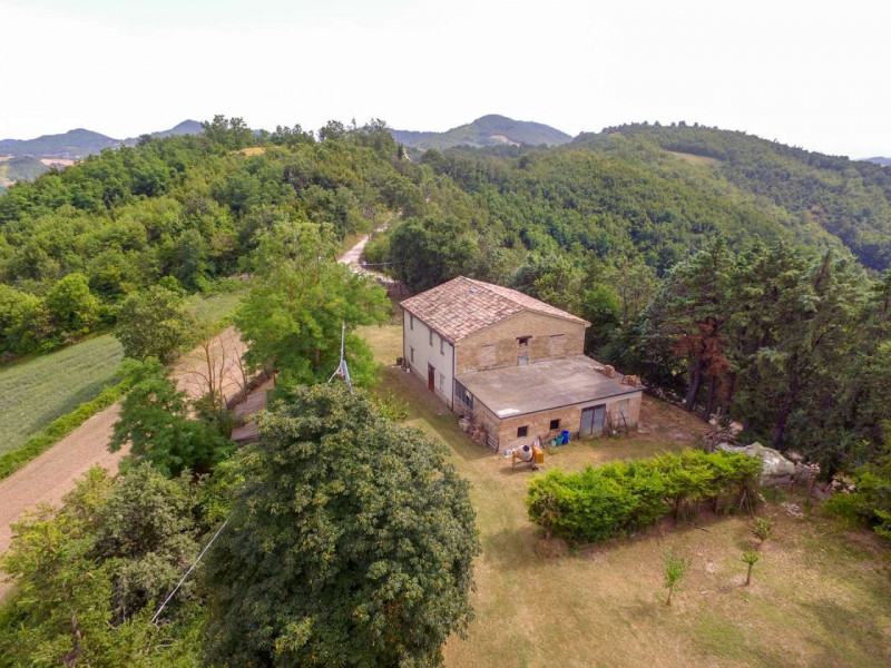 Immagine 4 di Rustico / casale in vendita  in località Monte Olivo a Urbino