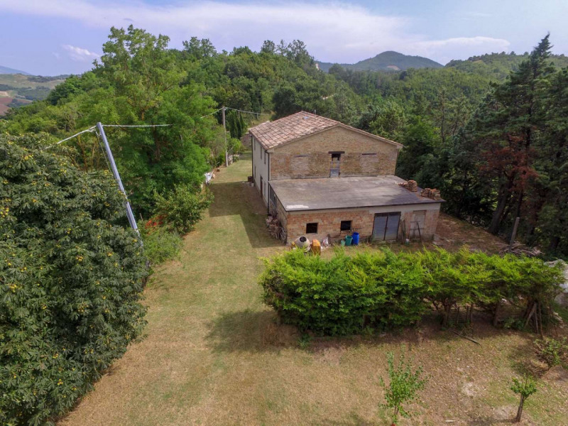 Immagine 5 di Rustico / casale in vendita  in località Monte Olivo a Urbino