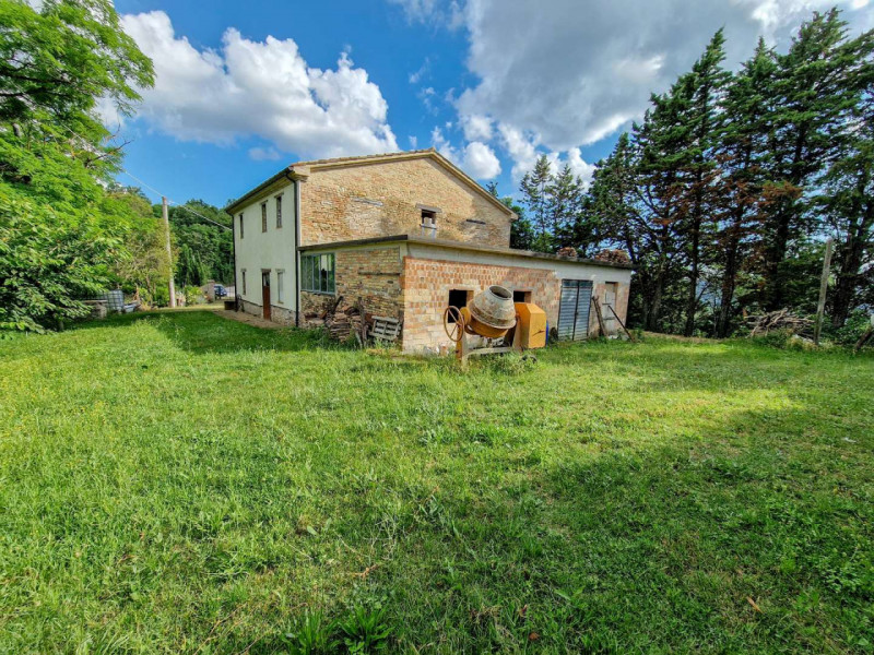 Immagine 6 di Rustico / casale in vendita  in località Monte Olivo a Urbino