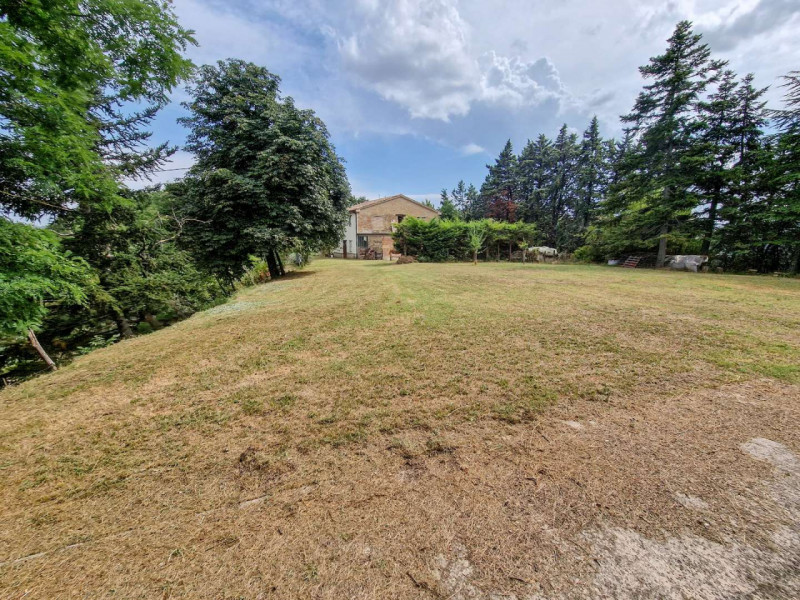 Immagine 13 di Rustico / casale in vendita  in località Monte Olivo a Urbino