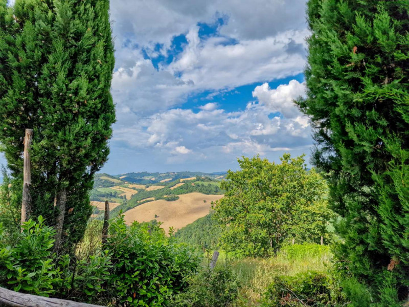 Immagine 24 di Rustico / casale in vendita  in località Monte Olivo a Urbino