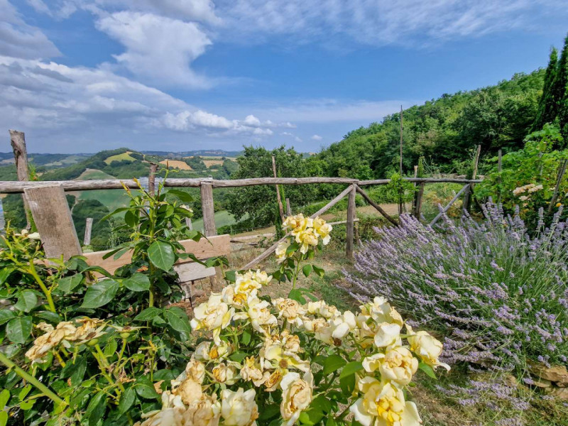 Immagine 25 di Rustico / casale in vendita  in località Monte Olivo a Urbino