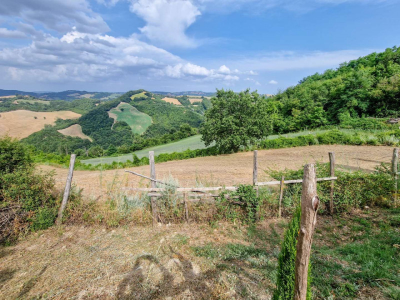 Immagine 26 di Rustico / casale in vendita  in località Monte Olivo a Urbino