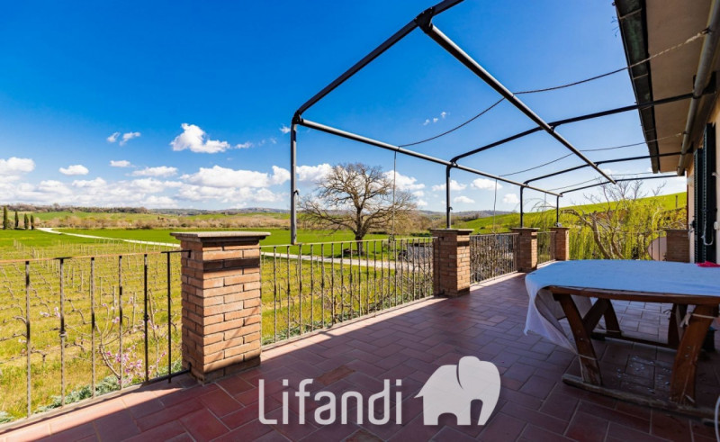 Immagine 3 di Agriturismo in vendita  a Manciano