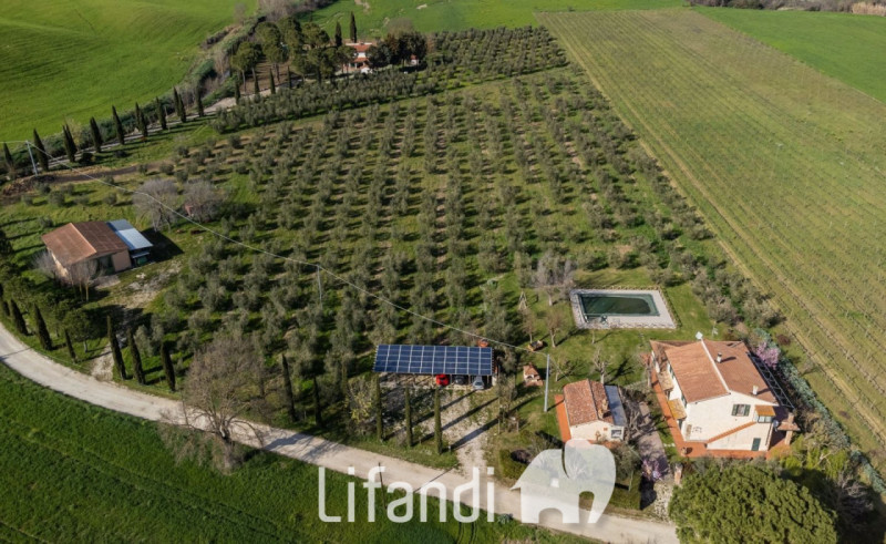 Immagine 4 di Agriturismo in vendita  a Manciano