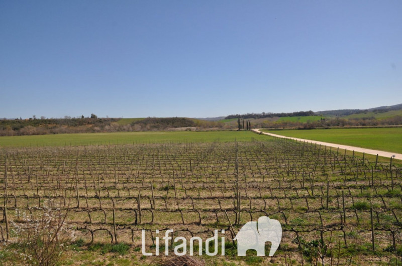 Immagine 5 di Agriturismo in vendita  a Manciano