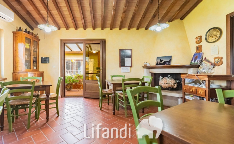 Immagine 6 di Agriturismo in vendita  a Manciano