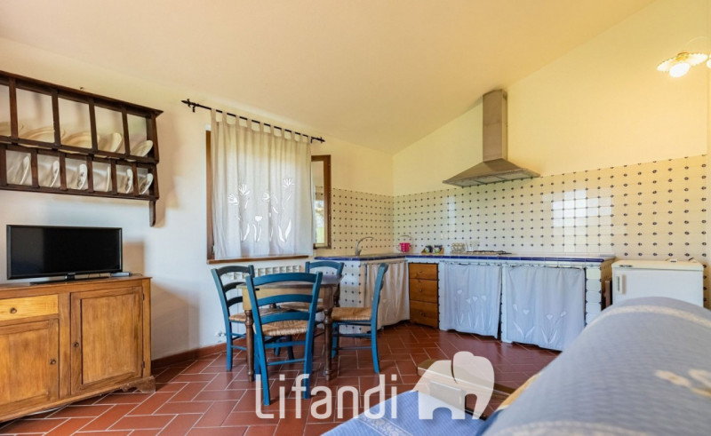 Immagine 8 di Agriturismo in vendita  a Manciano