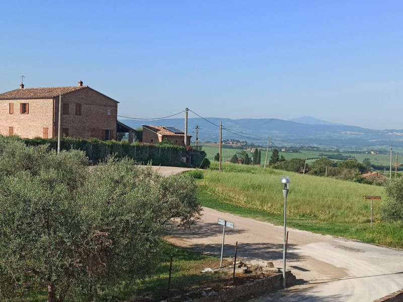 Immagine 13 di Laboratorio in vendita  a Castiglione Del Lago