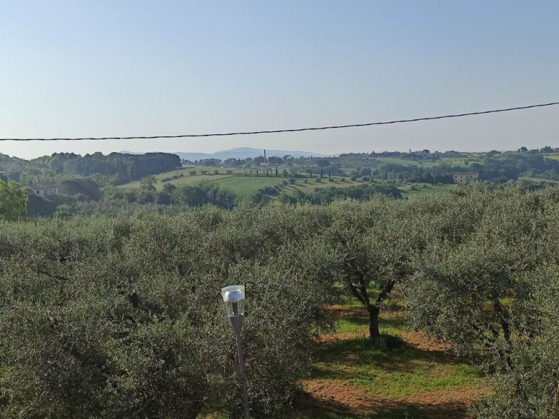 Immagine 14 di Laboratorio in vendita  a Castiglione Del Lago