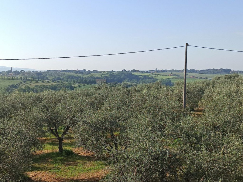 Immagine 15 di Laboratorio in vendita  a Castiglione Del Lago
