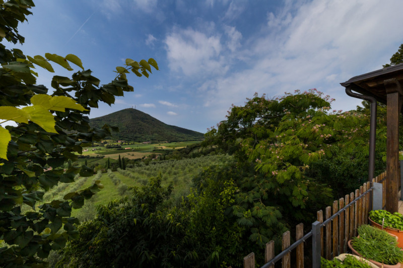 Immagine 26 di Casa indipendente in vendita  in via tormene a Baone