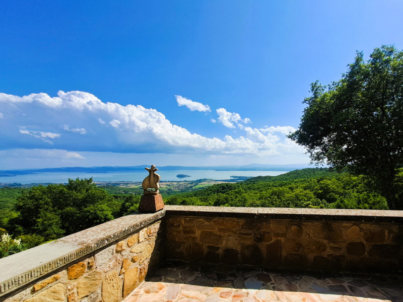 Immagine 11 di Rustico / casale in vendita  in Strada del Niccone a Tuoro Sul Trasimeno