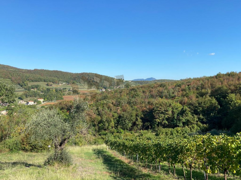 Immagine 4 di Terreno in vendita  a Villaga