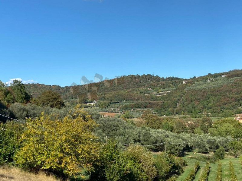 Immagine 7 di Terreno in vendita  a Villaga