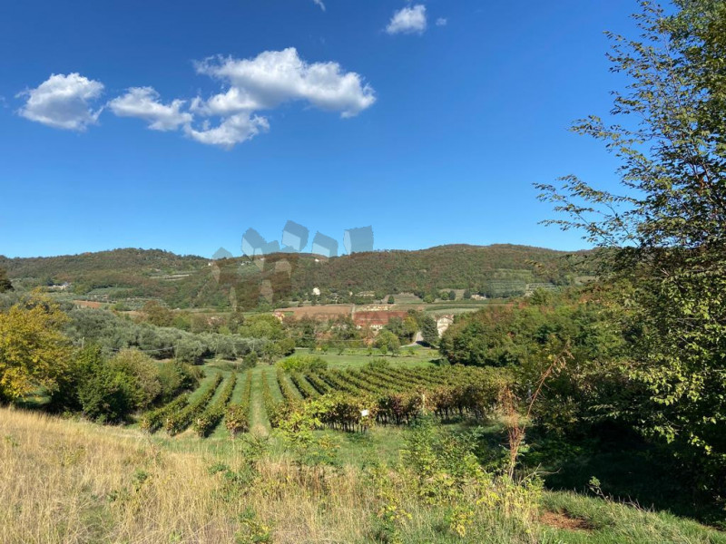 Immagine 8 di Terreno in vendita  a Villaga