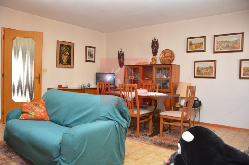 Foto annuncio 7