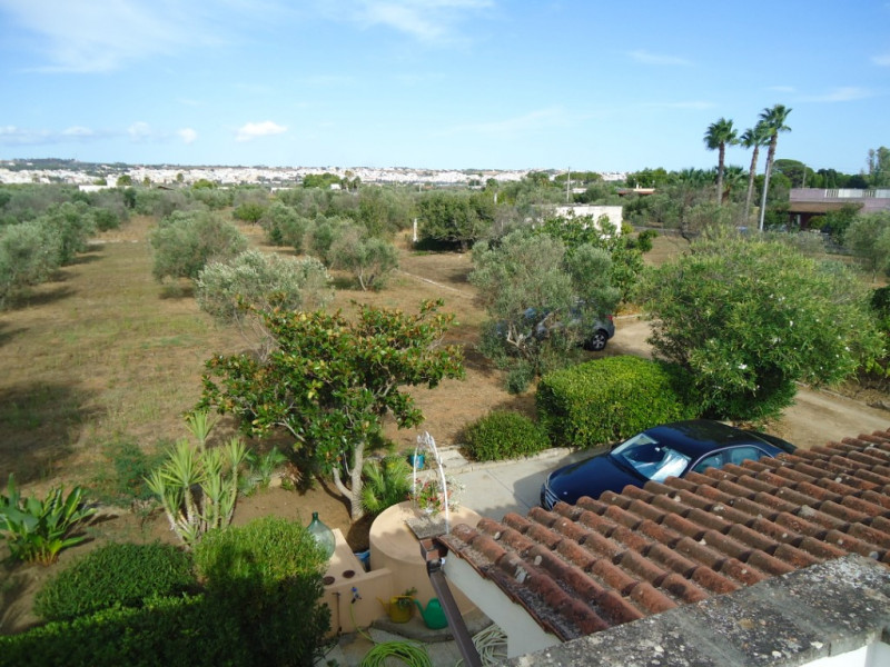 Immagine 7 di Villa in vendita  in Contrada Saline a Matino