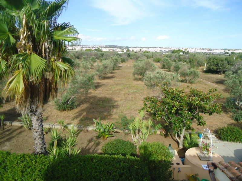 Immagine 8 di Villa in vendita  in Contrada Saline a Matino