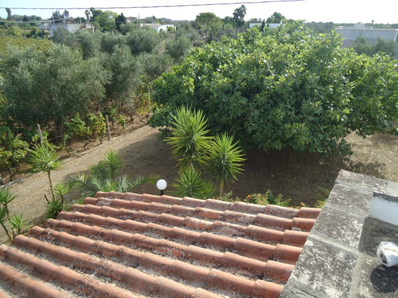 Immagine 11 di Villa in vendita  in Contrada Saline a Matino