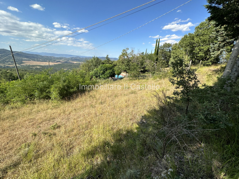 Immagine 13 di Terreno in vendita  in ponibbiale a Piegaro