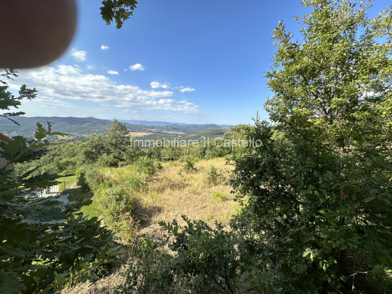 Immagine 14 di Terreno in vendita  in ponibbiale a Piegaro