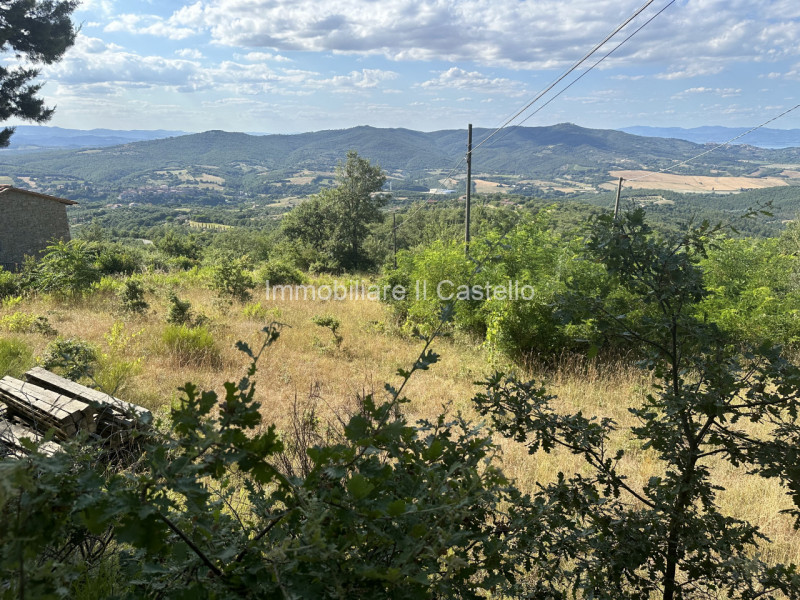Immagine 17 di Terreno in vendita  in ponibbiale a Piegaro
