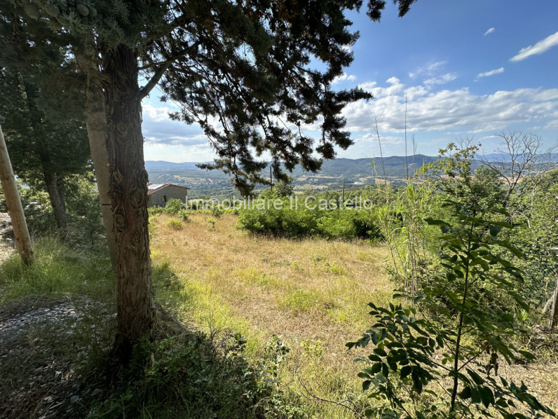 Immagine 20 di Terreno in vendita  in ponibbiale a Piegaro