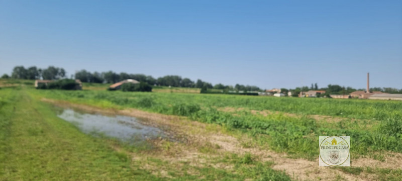 Immagine 5 di Terreno in vendita  a Loreo