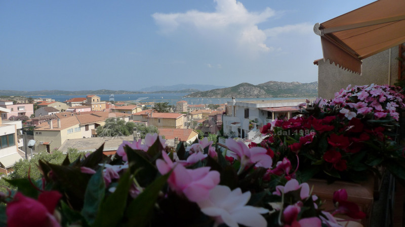 Immagine 28 di Appartamento in vendita  in Via terralugiana a La Maddalena