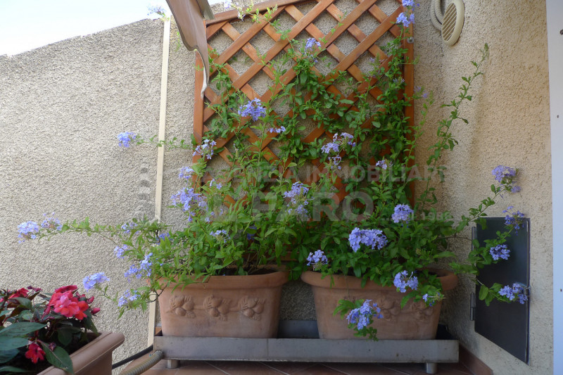 Immagine 36 di Appartamento in vendita  in Via terralugiana a La Maddalena