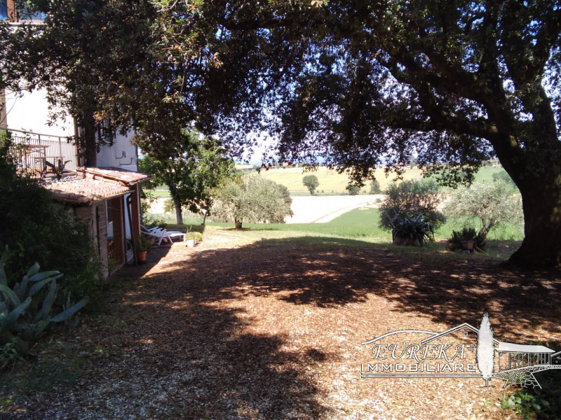 Immagine 17 di Appartamento in vendita  in sanfatucchio a Castiglione Del Lago