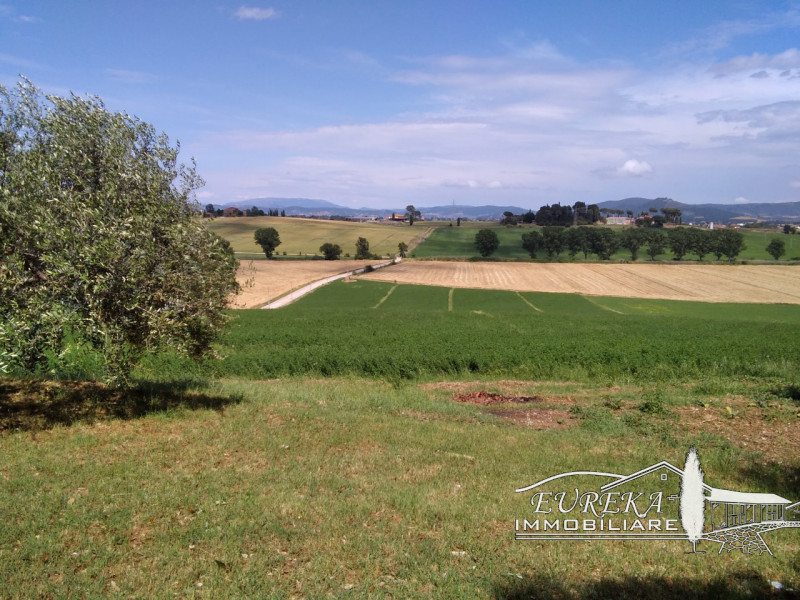 Immagine 18 di Appartamento in vendita  in sanfatucchio a Castiglione Del Lago