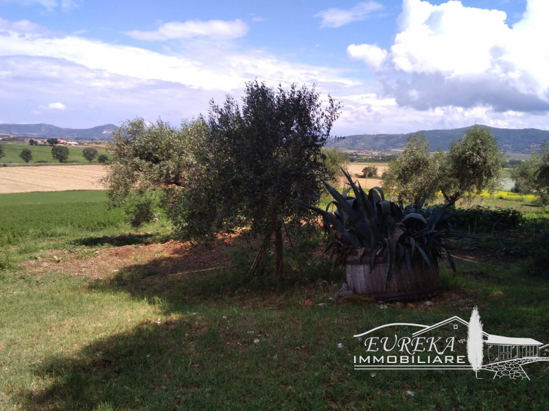 Immagine 19 di Appartamento in vendita  in sanfatucchio a Castiglione Del Lago