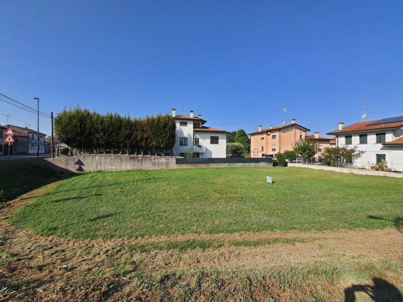 Immagine 2 di Terreno in vendita  a Villadose