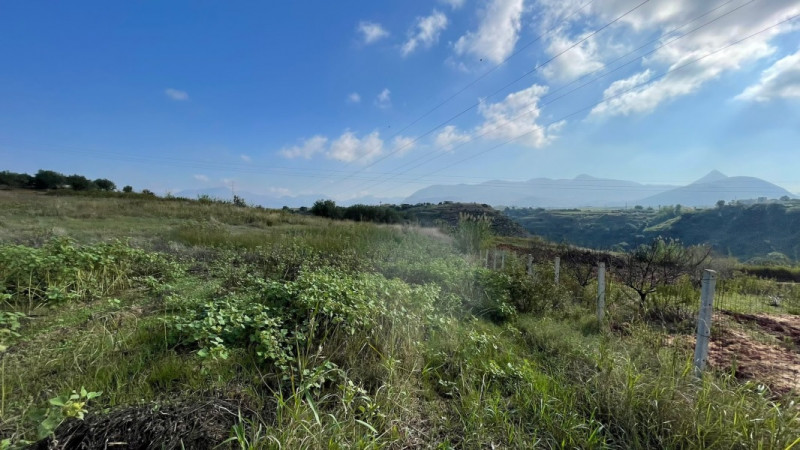 Immagine 8 di Terreno in vendita  in contrada campo a Partinico