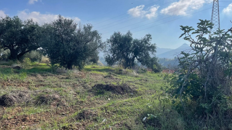 Immagine 10 di Terreno in vendita  in contrada campo a Partinico