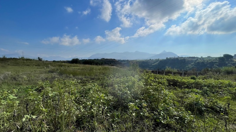 Immagine 11 di Terreno in vendita  in contrada campo a Partinico