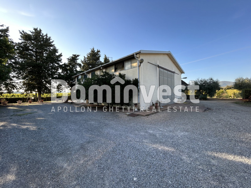 Immagine 2 di Rustico / casale in vendita  in Strada Pedemontana a Capalbio