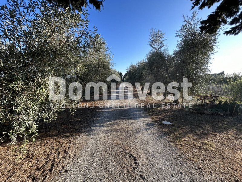 Immagine 4 di Rustico / casale in vendita  in Strada Pedemontana a Capalbio