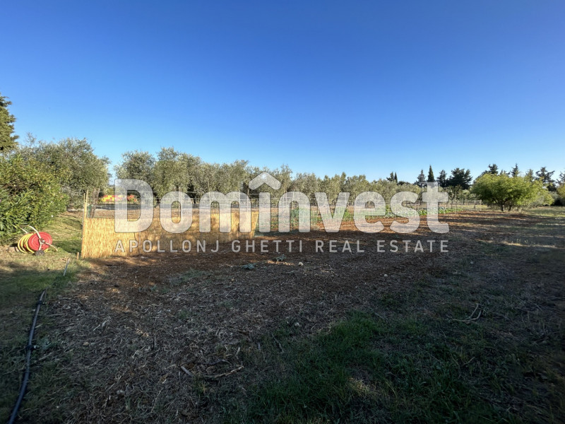 Immagine 8 di Rustico / casale in vendita  in Strada Pedemontana a Capalbio