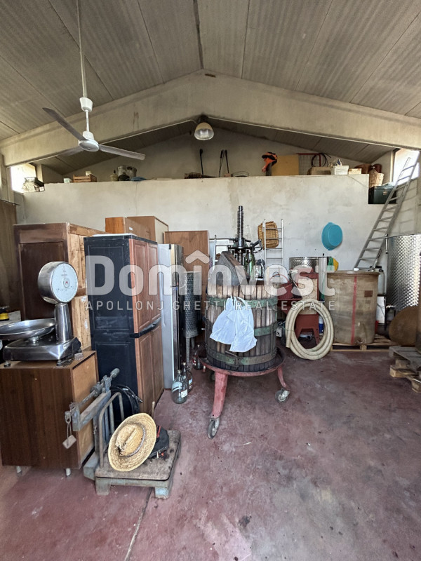 Immagine 19 di Rustico / casale in vendita  in Strada Pedemontana a Capalbio